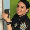 Photos: Williamsburg Cops Rescue Six Kittens Thrown In A Suitcase